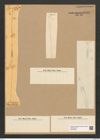 Toxarium kennedyanum (Greg.) Grun. (de-Toni-Nr.: Genus 69, Species 2687) Zeichnungen Sammlung Grunow Nr. 5512 (NHMW-BOT-W0373956)